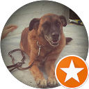 Marco Cip profile picture