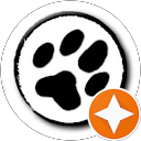 caterina bettella profile picture